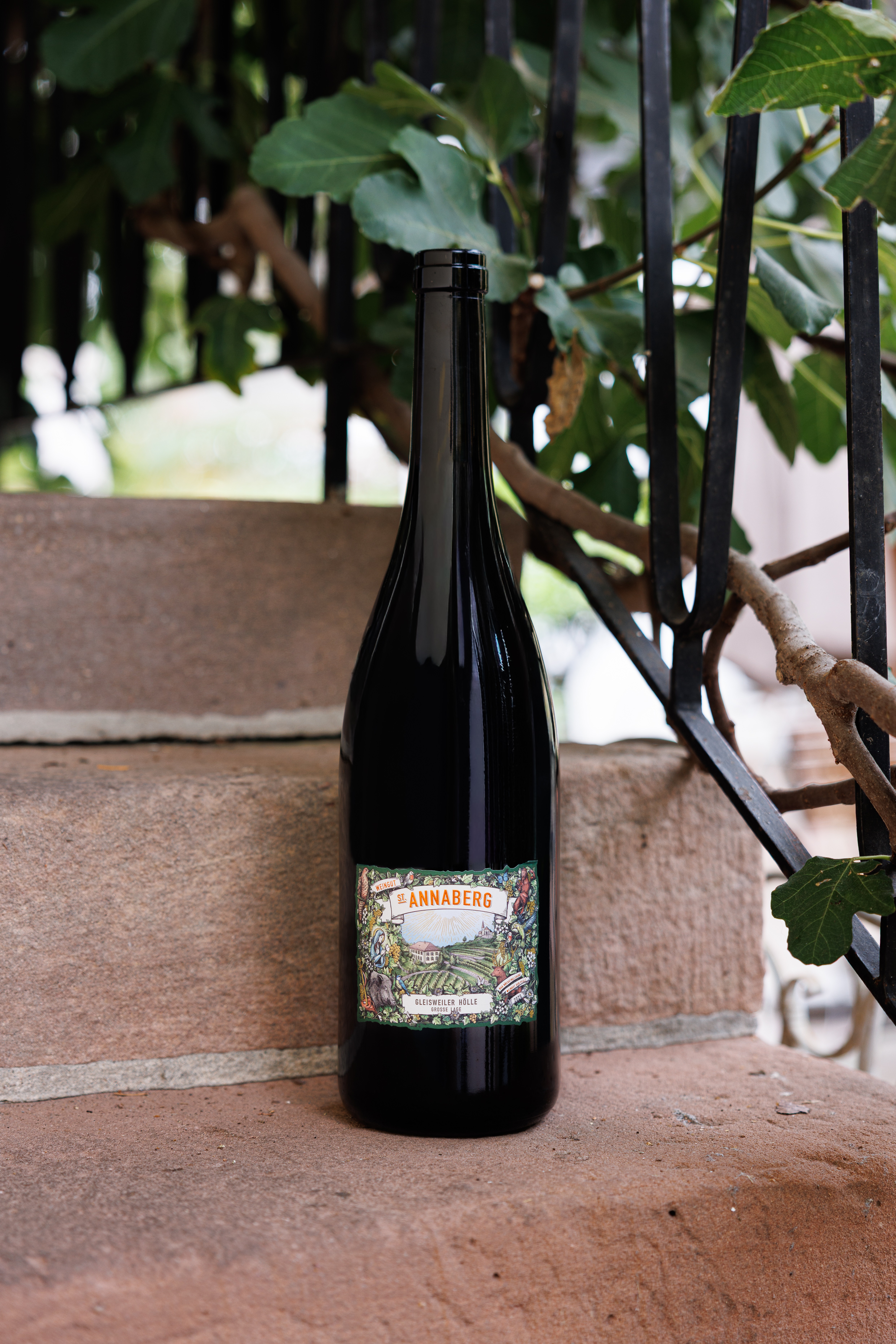 DM - Gleisweiler Hölle Riesling trocken BIO